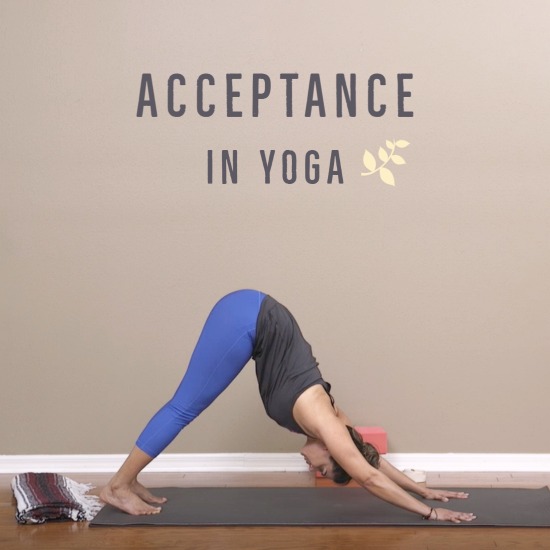 Acceptance in Yoga - SYN 94