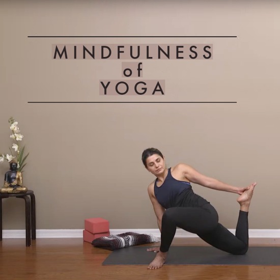 Mindfulness of Yoga - SYN 97